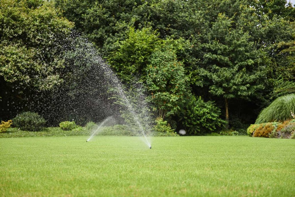 Automatische Bewässerung Osnabrück Beregnung im Garten Ibbenbüren
