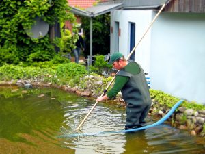 Poolpflege und Teichreinigung in Osnabrück und Ibbenbüren. Gartenpflege von Stockreiter