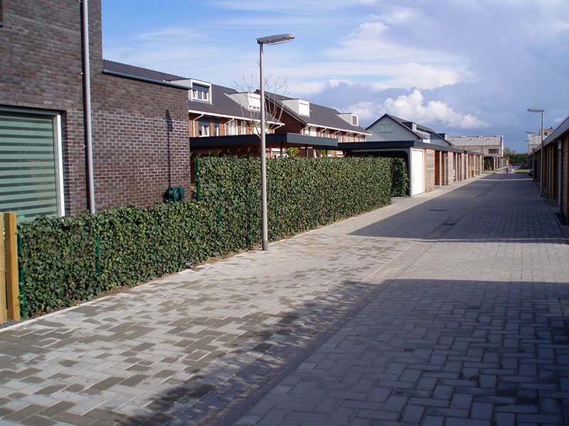 Hecke am laufenden Meter Efeuhecke Sichtschutz Fa. Stockreiter
