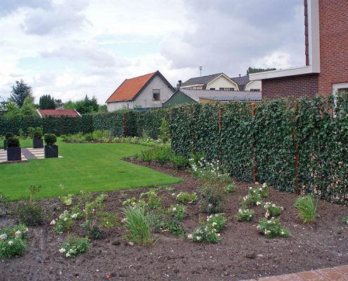 Hecke am laufenden Meter Efeuhecke Sichtschutz Fa. Stockreiter
