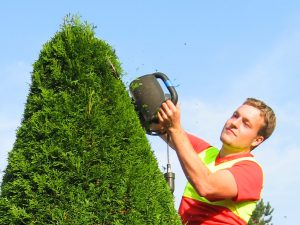 Fachmännische Gartenpflege im Raum Osnabrück und Ibbenbüren: Mettingen, Laggenbeck, Westerkappeln, Lotte, Gartenpflege Bramsche.