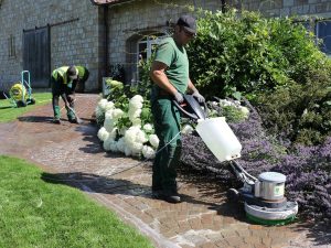 Gartenpflege im Raum Osnabrück Gartenservice Lotte Gartenpflege